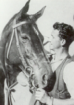 phar_lap.jpg